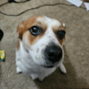 Meet your Posher, Ryleigh